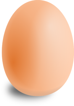 Uova fertili di Gallina Ovaiola Rossa - immagine 4